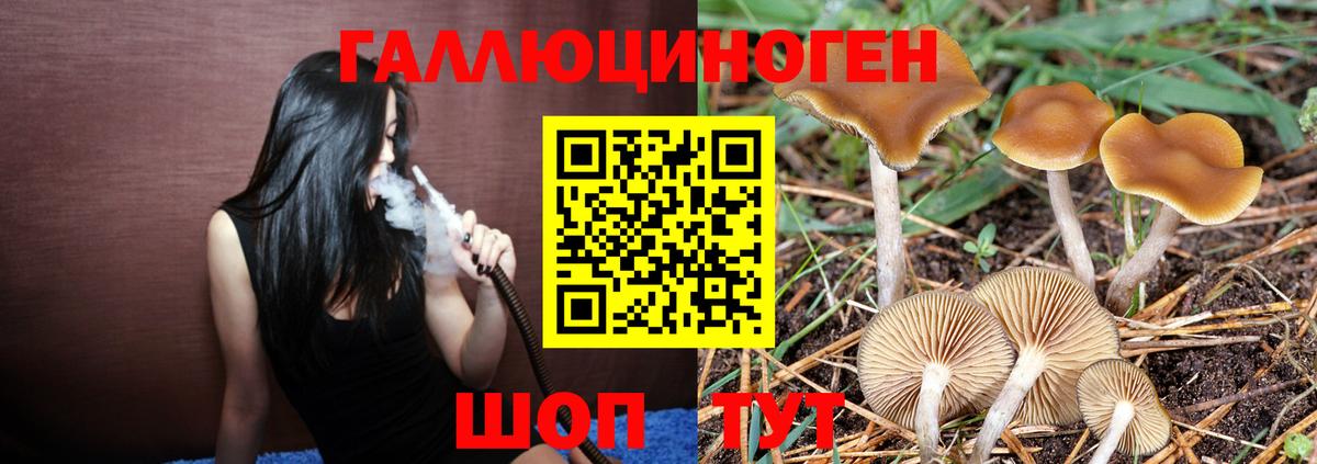 Псилоцибиновые грибы Psilocybe  Галлюциногенные грибы ЛСД  Краснодар  Вход с VPN 